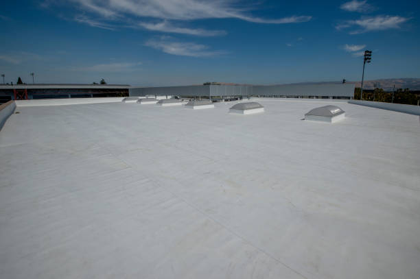 Best Roof Moss and Algae Removal  in Granger, IN